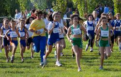 Cross comarcal 2012