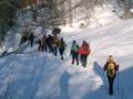 CESC - Caminades Pirineus