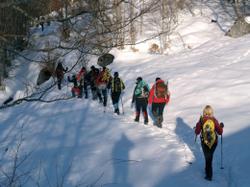 CESC - Caminades Pirineus