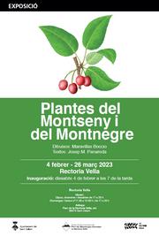 expo plantes