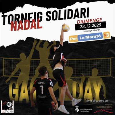Torneig Volei