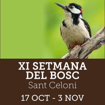 Setmana del Bosc