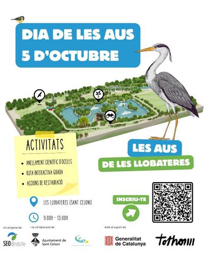 Les aus a les llobateres