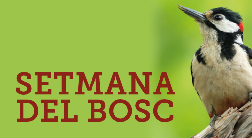 Setmana del Bosc