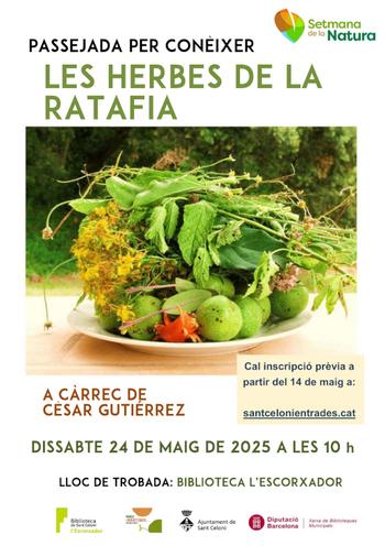 cartell ratafia