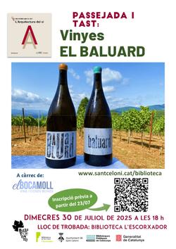 cartell Passejada vinyes