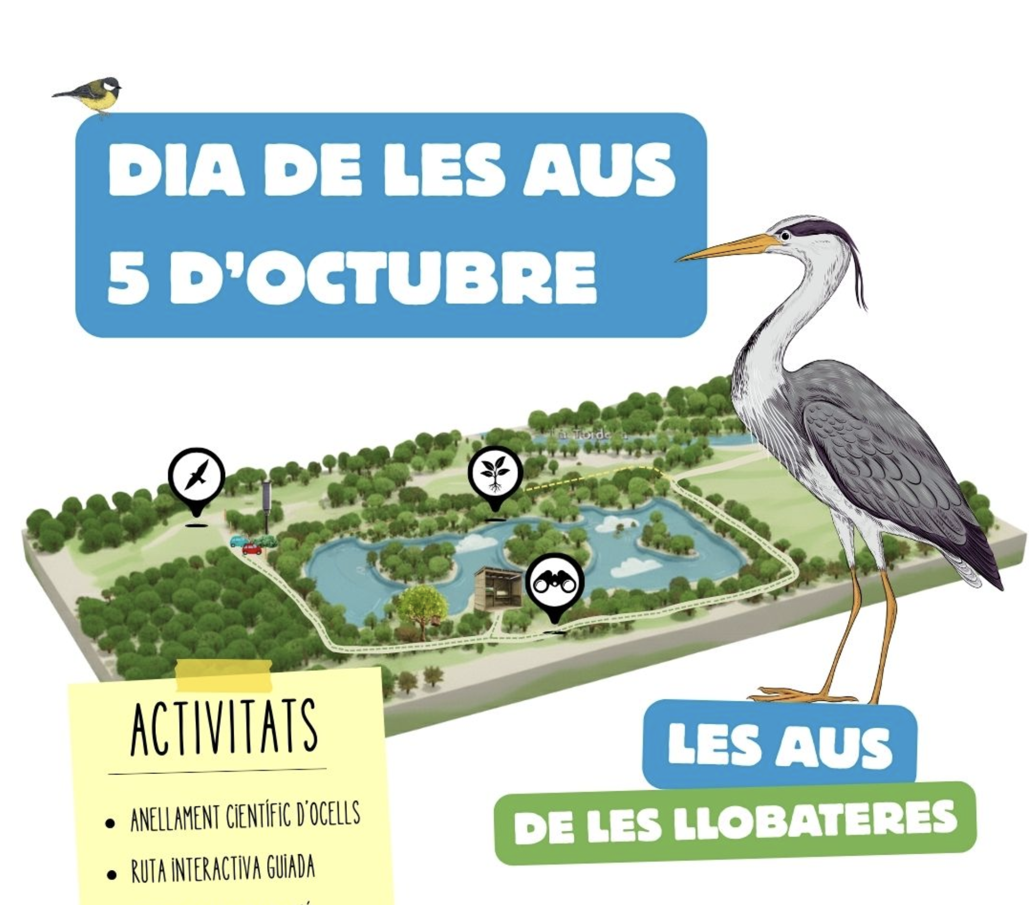 Les aus a les llobateres