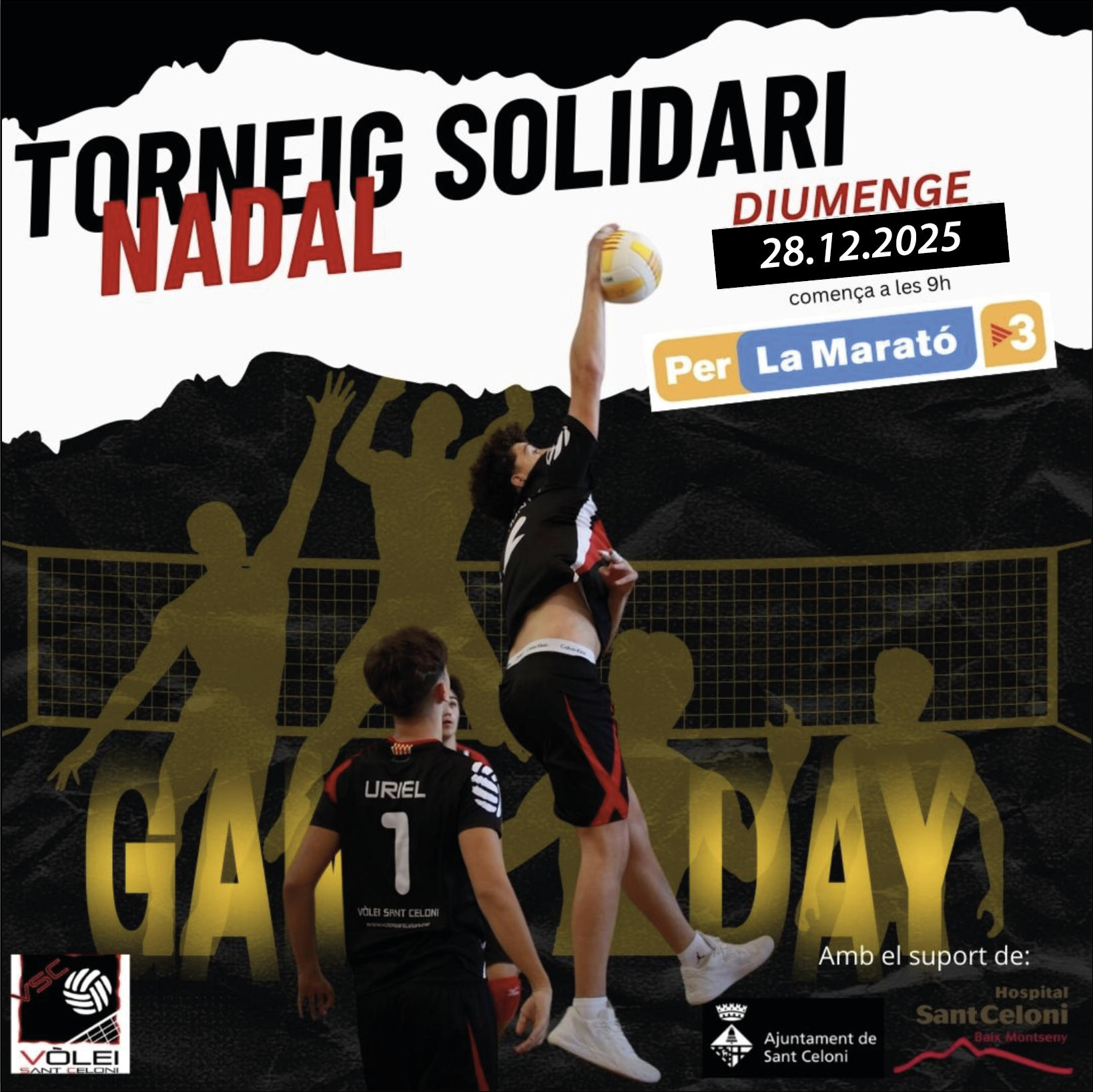 Torneig Volei