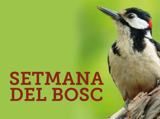 setmana del bosc