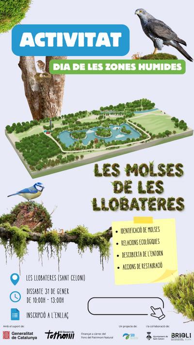 Dia de les Zones humides