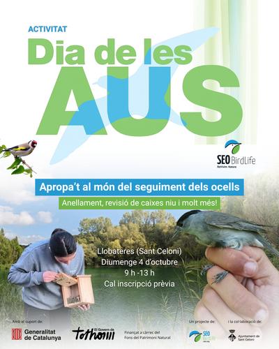 dia de les aus