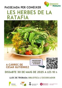 cartell passejada ratafia