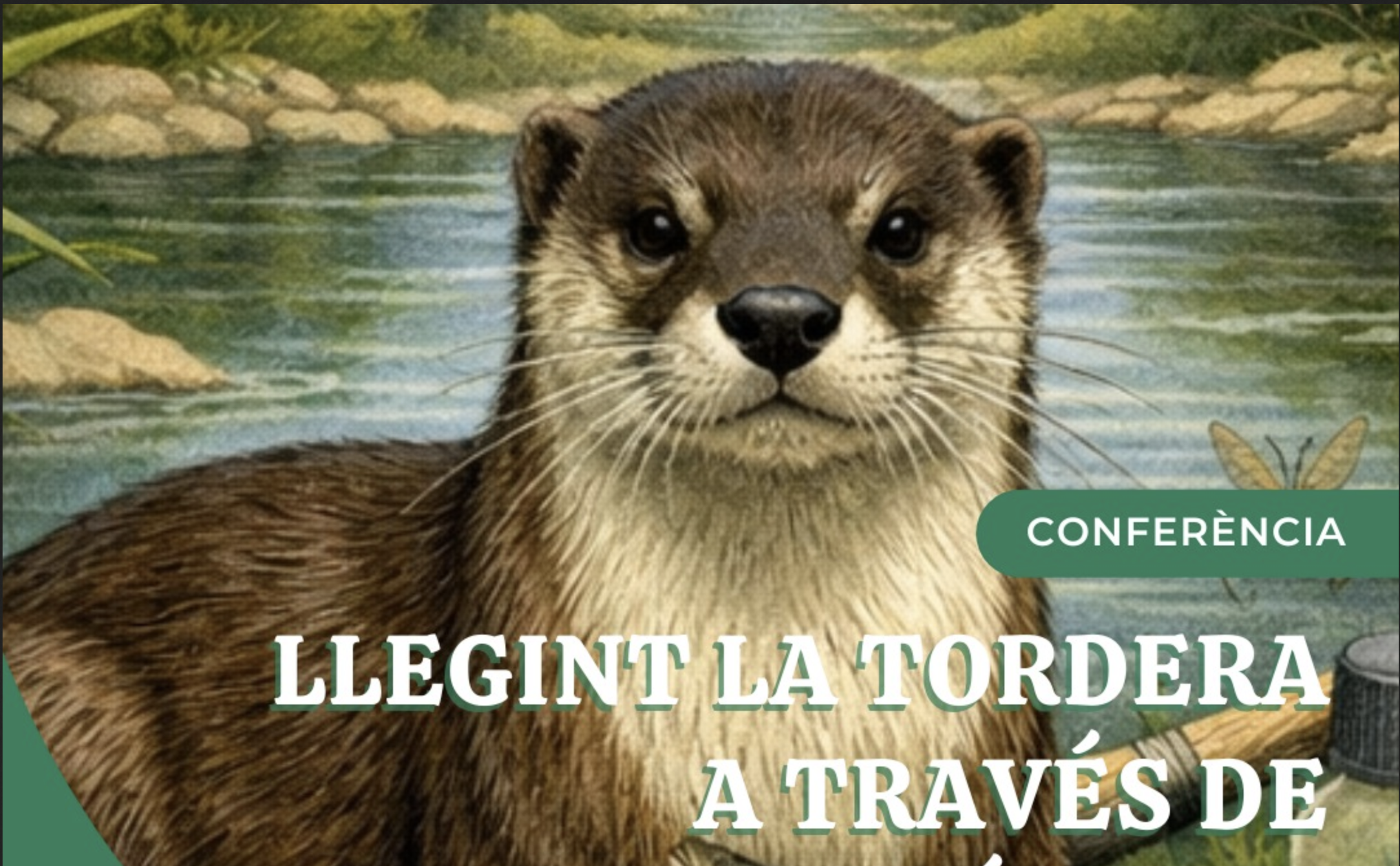 Confer�ncia ll�driga