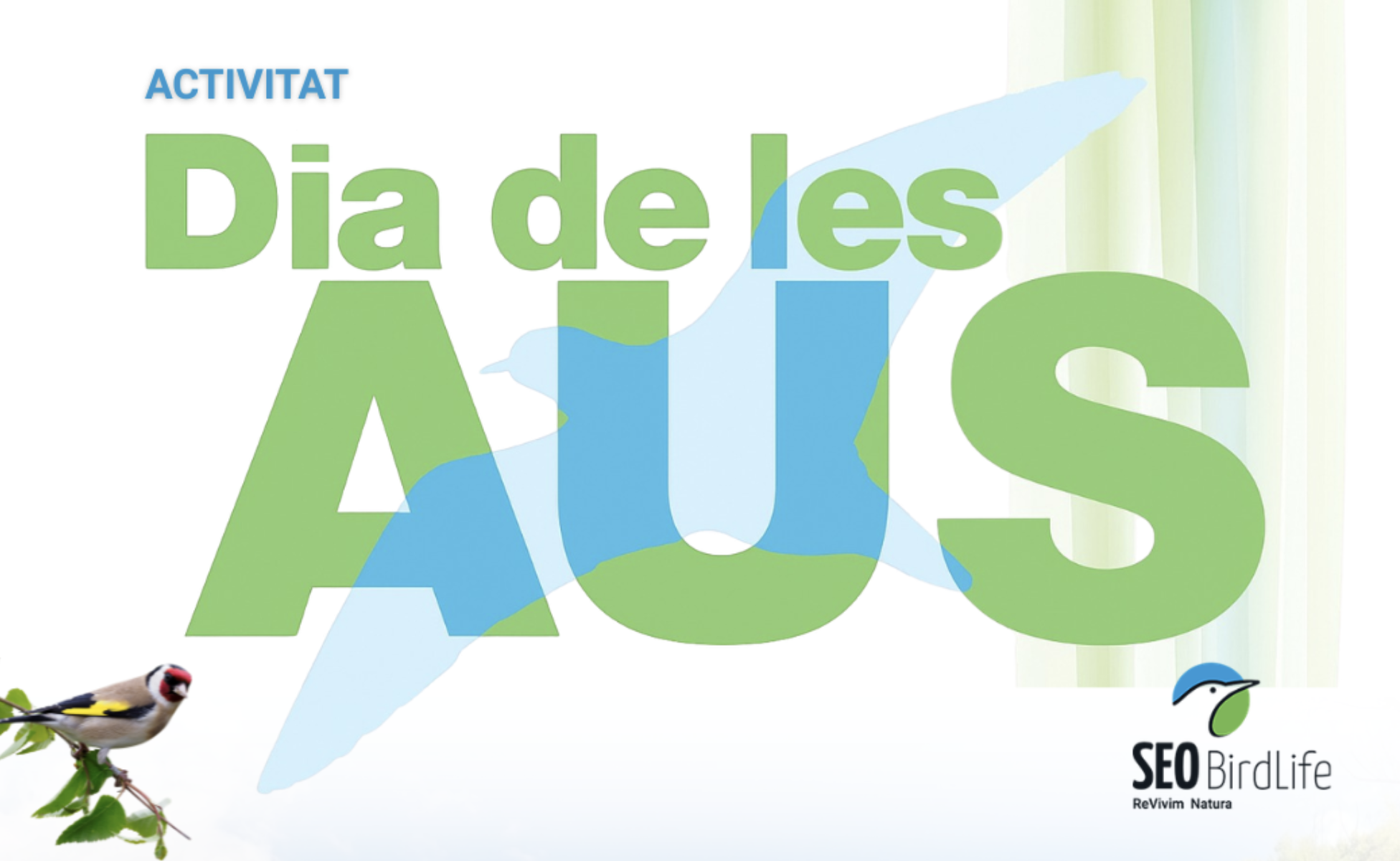 dia de les aus