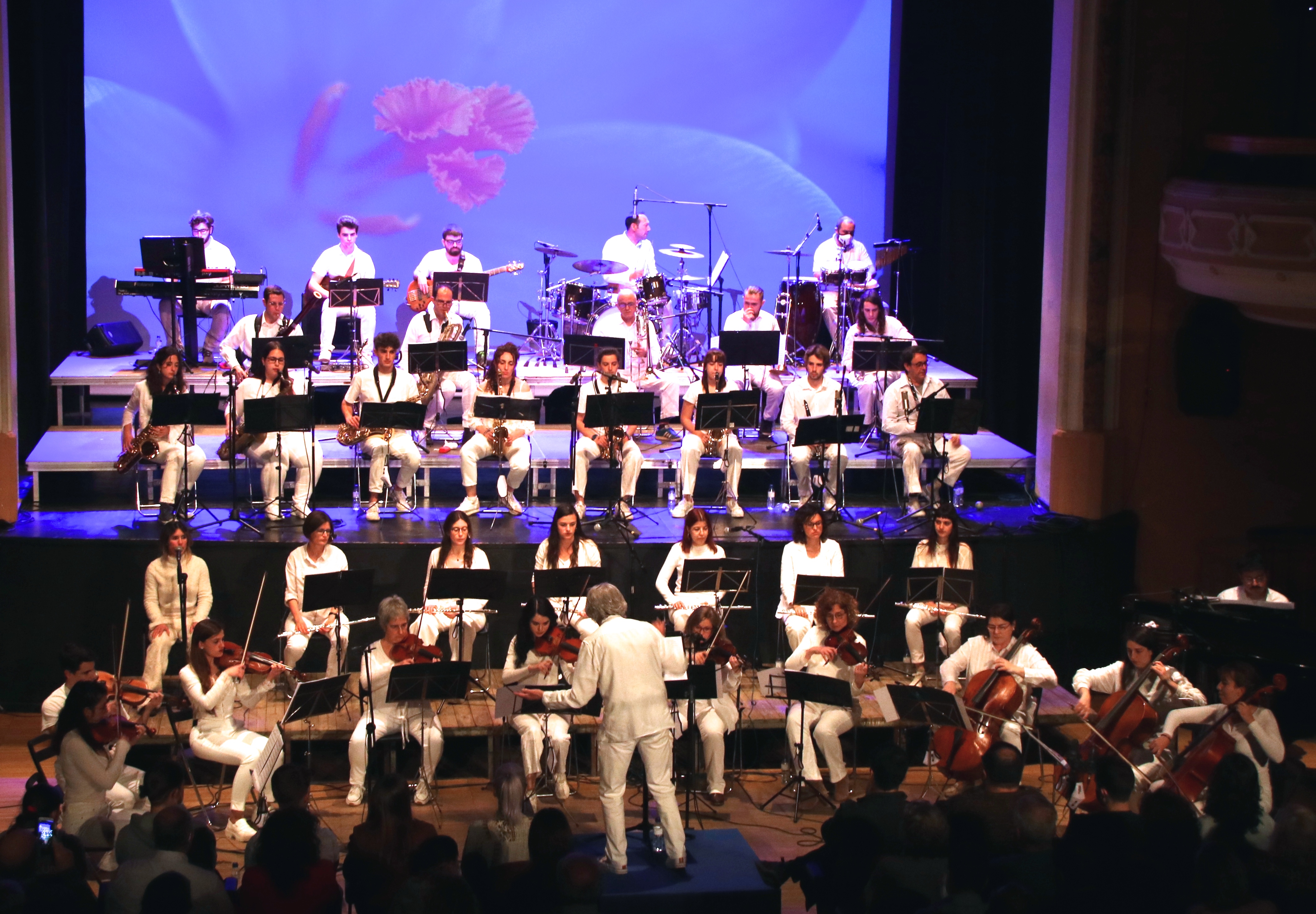 Programaci� a l'Ateneu