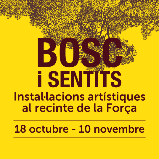 Bosc i Sentits