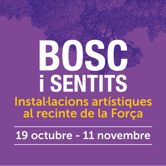 Bosc i sentits Banner web