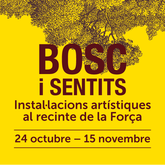Bosc i Sentits