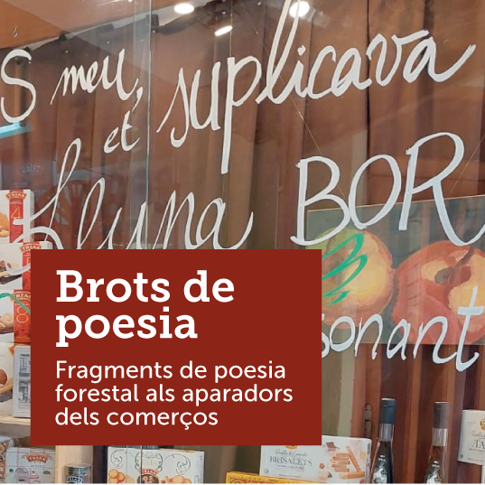 Brots Poesia Banner web