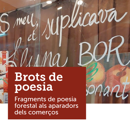 Brots de Poesia