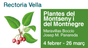 Plantes Montseny