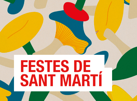 Festes Sant Mart