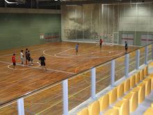 Pavelló Sot de les Granotes - Pista