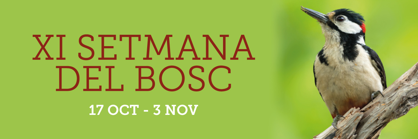 Setmana del Bosc