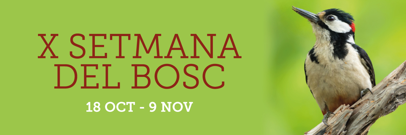 Setmana del Bosc