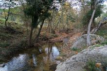 Ecosistemes_1