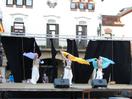 Mostra d'Entitats