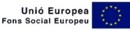 Logo Fons social Europeu
