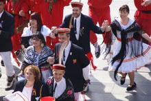 Ball de Gitanes 2009