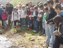 alliberament de tortugues alumnes escola Montnegre