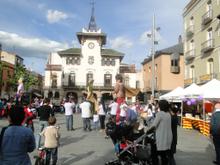 Tarda d'activitats