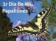 Dia de les papallones a Sant Celoni
