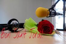 Sant Jordi Punt 7 Ràdio