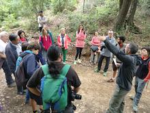 Passejada boscos Montnegre