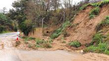 Boscos del Montnegre