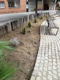 parterres i jardineres