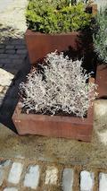 parterres i jardineres