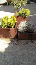 parterres i jardineres