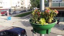 parterres i jardineres