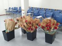 roses per les cosidores