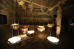 09-Bosc i els sentits