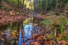 Ruta Joc Mediambiental a la Vall dels Fuirosos-2