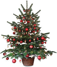 arbre de nadal