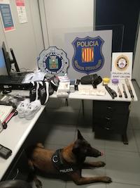 Inspecci&oacute; policial