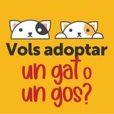 Adopció Gossos Gats