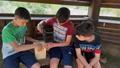 Llobateres-8
